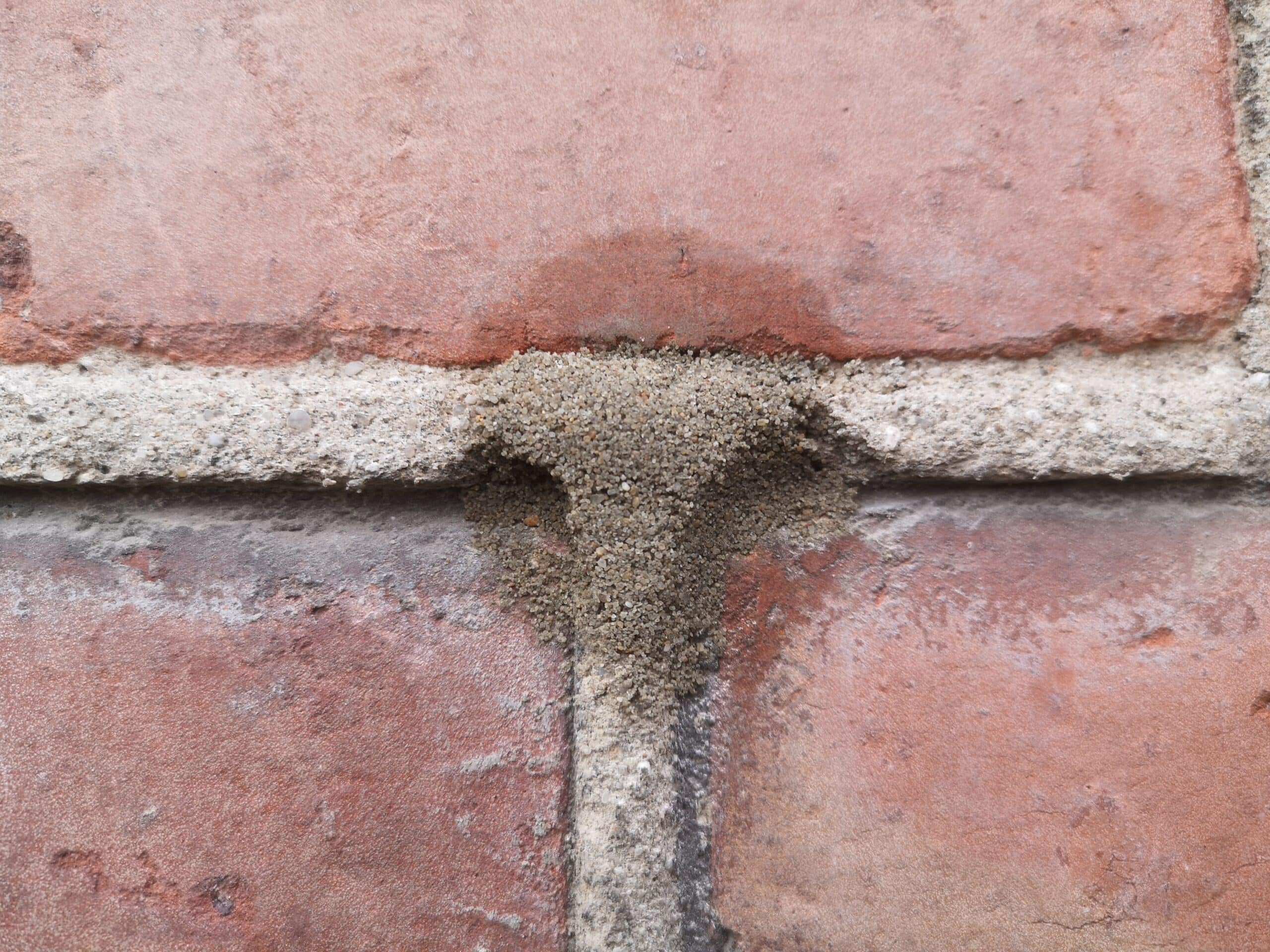 Vorstehende Fuge wurde nach der Kernd&auml;mmung original wieder hergestellt (aus Liebe zum Detail)